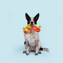 Load image into Gallery viewer, HAIRLOOM TOMATOES DOG TOY