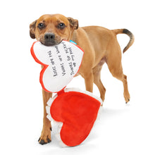 Load image into Gallery viewer, BARK Valentine's Be Mine Dog Toy (M/L)