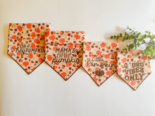 Load image into Gallery viewer, PUMPKIN PATCH PUP