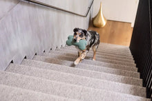 Load image into Gallery viewer, Fuzzyard Green Bone Dog Toy