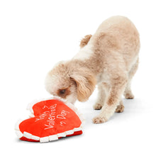 Load image into Gallery viewer, BARK Valentine's Be Mine Dog Toy (M/L)