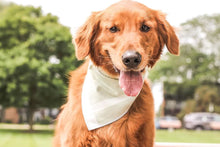 Load image into Gallery viewer, GREEN PLAID