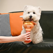 Load image into Gallery viewer, Spiked Apple Cider Dog Toy