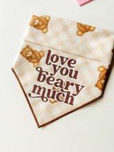 Load image into Gallery viewer, TEDDY BEARS