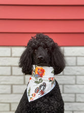 Load image into Gallery viewer, FALL BUTTERFLIES