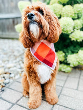 Load image into Gallery viewer, AUTUMN