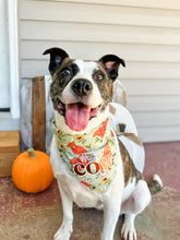 Load image into Gallery viewer, HIGHLAND COWS