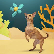 Load image into Gallery viewer, BARK Sea Turtle Dog Toy