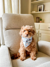 Load image into Gallery viewer, LADYBUGS