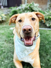 Load image into Gallery viewer, GREEN PLAID