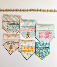 Load image into Gallery viewer, Easter Bundle