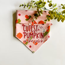 Load image into Gallery viewer, PUMPKIN PATCH