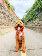 Load image into Gallery viewer, AUTUMN