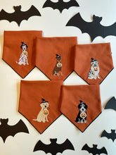 Load image into Gallery viewer, DOG BREED TRICK OR TREAT