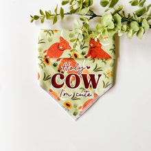 Load image into Gallery viewer, HIGHLAND COWS