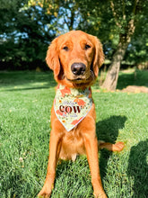 Load image into Gallery viewer, HIGHLAND COWS