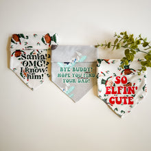 Load image into Gallery viewer, ANTARCTICA