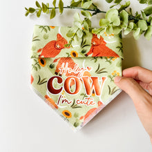 Load image into Gallery viewer, HIGHLAND COWS