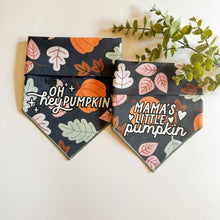 Load image into Gallery viewer, AUTUMN NIGHTS