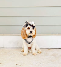 Load image into Gallery viewer, CHOCOLATE