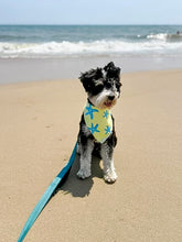 Load image into Gallery viewer, STARFISH SWIM/COOLING