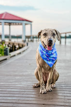 Load image into Gallery viewer, PALM BREEZE SWIM/COOLING
