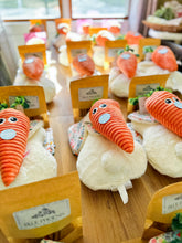 Load image into Gallery viewer, PUPscription