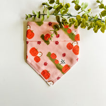 Load image into Gallery viewer, PUMPKIN PATCH