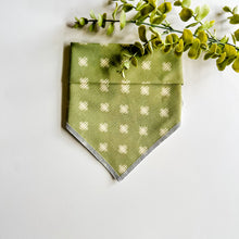 Load image into Gallery viewer, SAGE