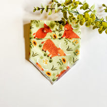 Load image into Gallery viewer, HIGHLAND COWS