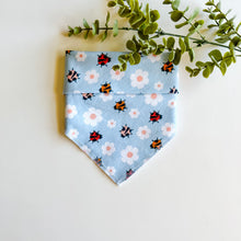 Load image into Gallery viewer, LADYBUGS