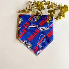 Load image into Gallery viewer, BUFFALO BILLS