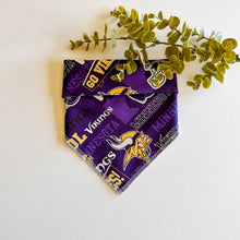 Load image into Gallery viewer, VIKINGS