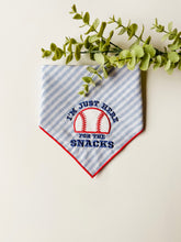 Load image into Gallery viewer, STADIUM SNACKS (EMBROIDERED)