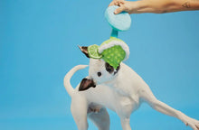 Load image into Gallery viewer, Margarita Dog Toy
