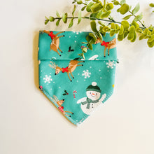 Load image into Gallery viewer, FROSTY FRIENDS