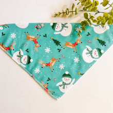 Load image into Gallery viewer, FROSTY FRIENDS