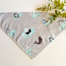 Load image into Gallery viewer, ANTARCTICA