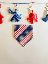 Load image into Gallery viewer, STARS AND STRIPES