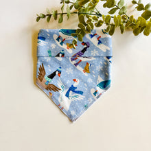 Load image into Gallery viewer, SILLY GOOSE