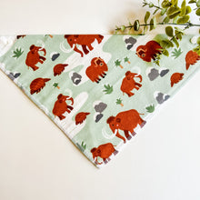 Load image into Gallery viewer, ICE AGE