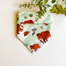 Load image into Gallery viewer, ICE AGE