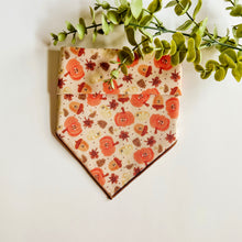 Load image into Gallery viewer, PUMPKIN PATCH PUP