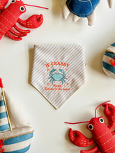 Load image into Gallery viewer, CRABBY