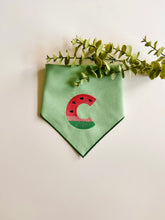 Load image into Gallery viewer, WATERMELON LETTERS