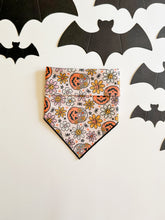 Load image into Gallery viewer, GROOVY GOURD