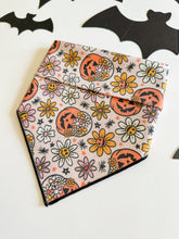 Load image into Gallery viewer, GROOVY GOURD