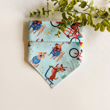 Load image into Gallery viewer, PARTY ANIMAL