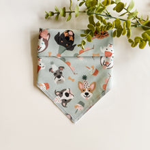 Load image into Gallery viewer, BARKDAY PARTY