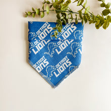 Load image into Gallery viewer, GO LIONS!